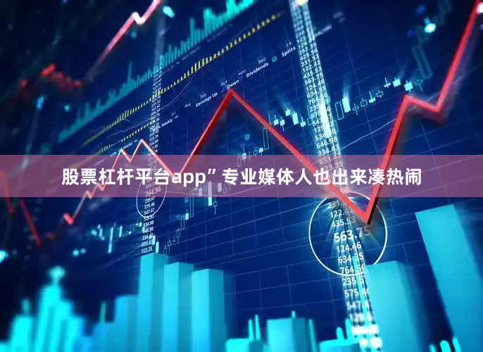 股票杠杆平台app”专业媒体人也出来凑热闹