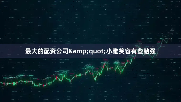 最大的配资公司&quot;小雅笑容有些勉强
