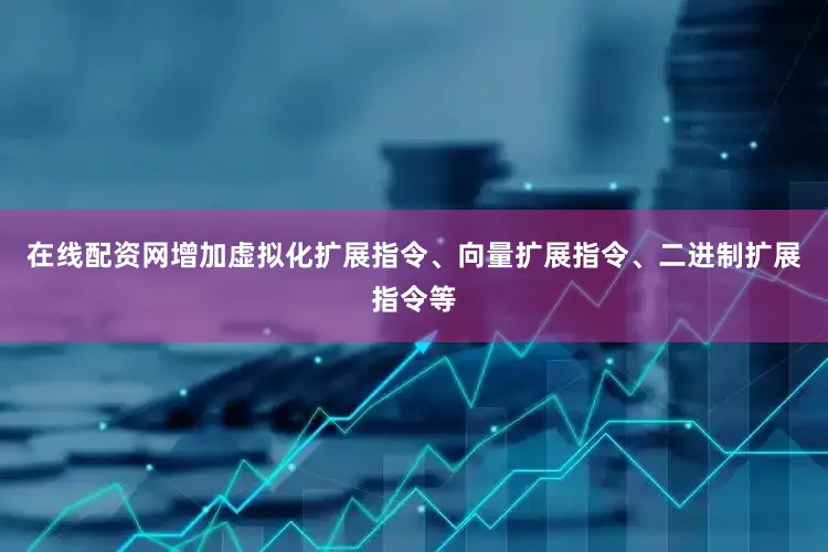 在线配资网增加虚拟化扩展指令、向量扩展指令、二进制扩展指令等