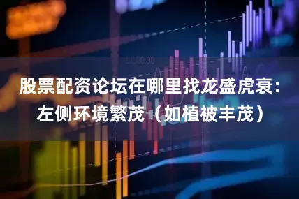 股票配资论坛在哪里找龙盛虎衰:左侧环境繁茂(如植被丰茂)