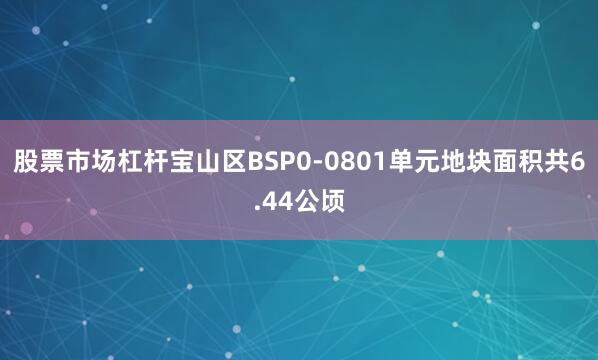 股票市场杠杆宝山区BSP0-0801单元地块面积共6.44公顷