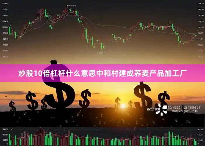 炒股10倍杠杆什么意思中和村建成荞麦产品加工厂